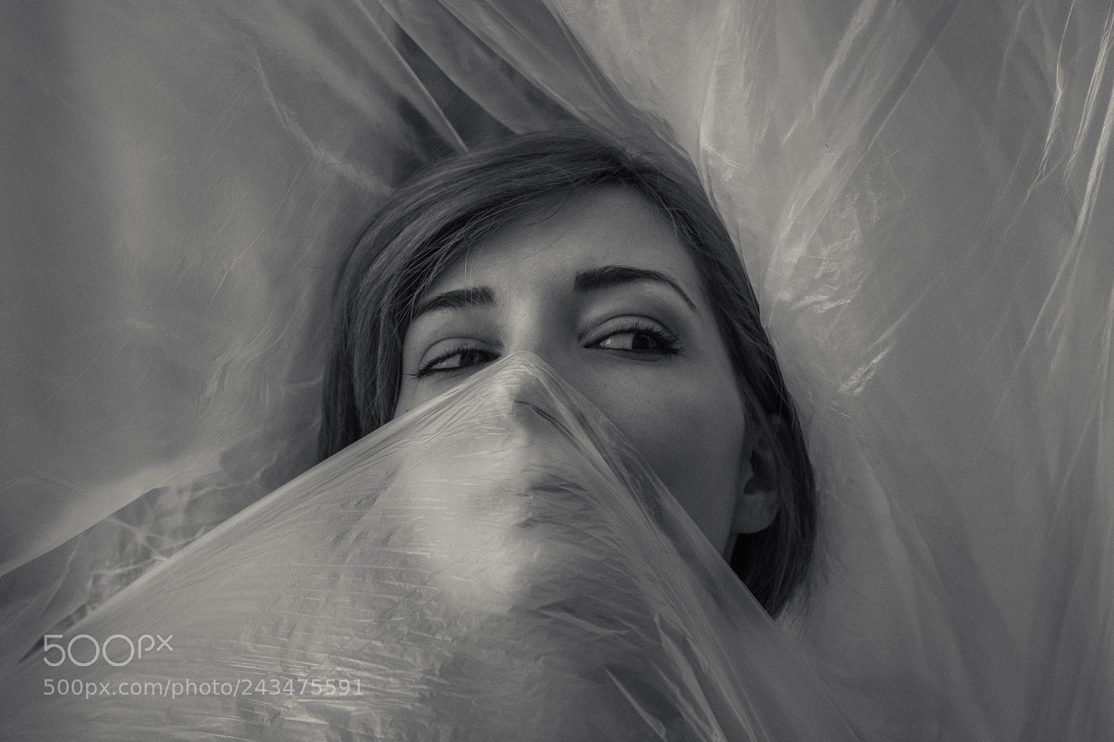 Canon EOS 6D Mark II sample photo. Transparency photography