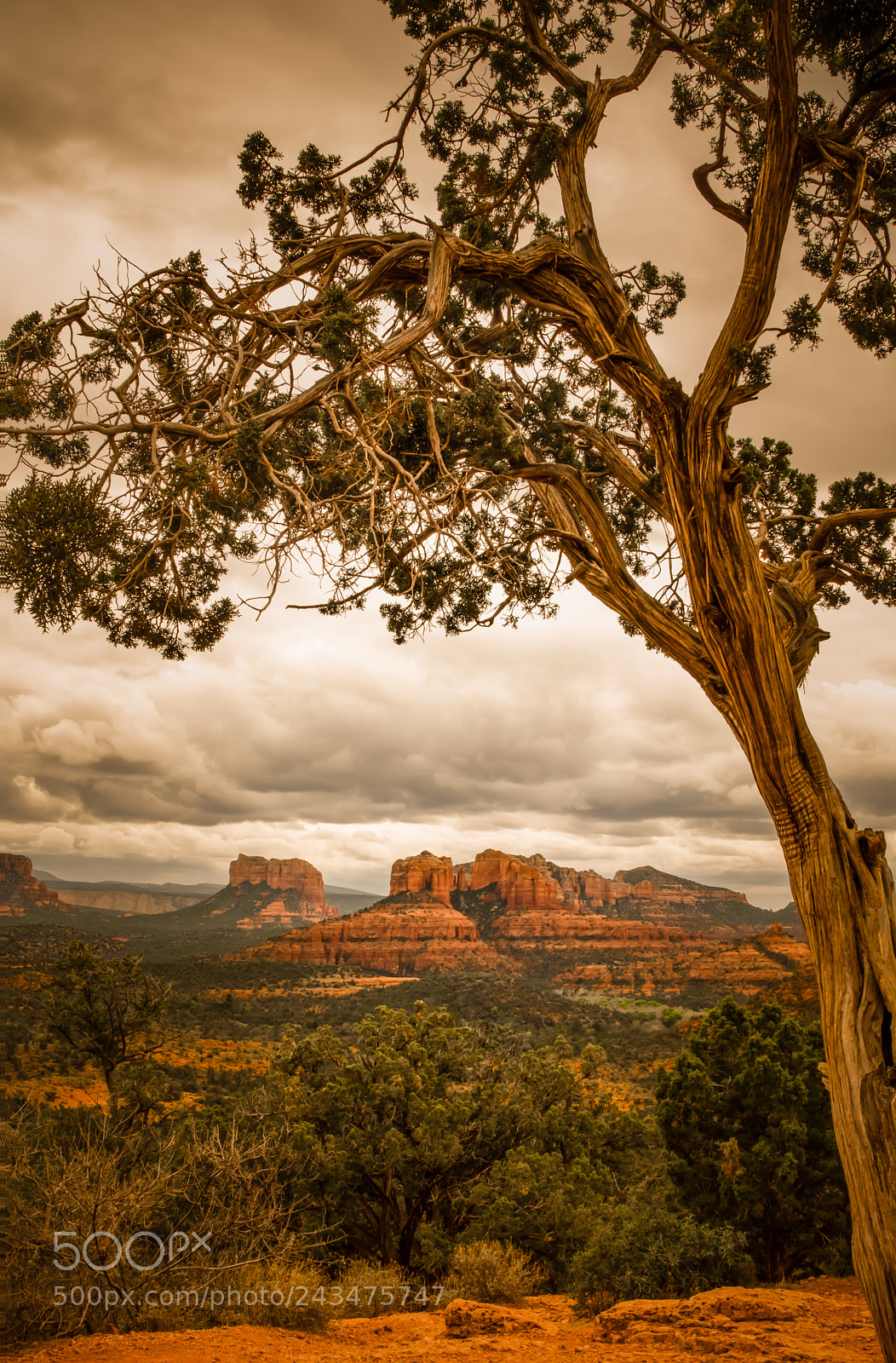 Nikon D7000 sample photo. Sedona overlook photography