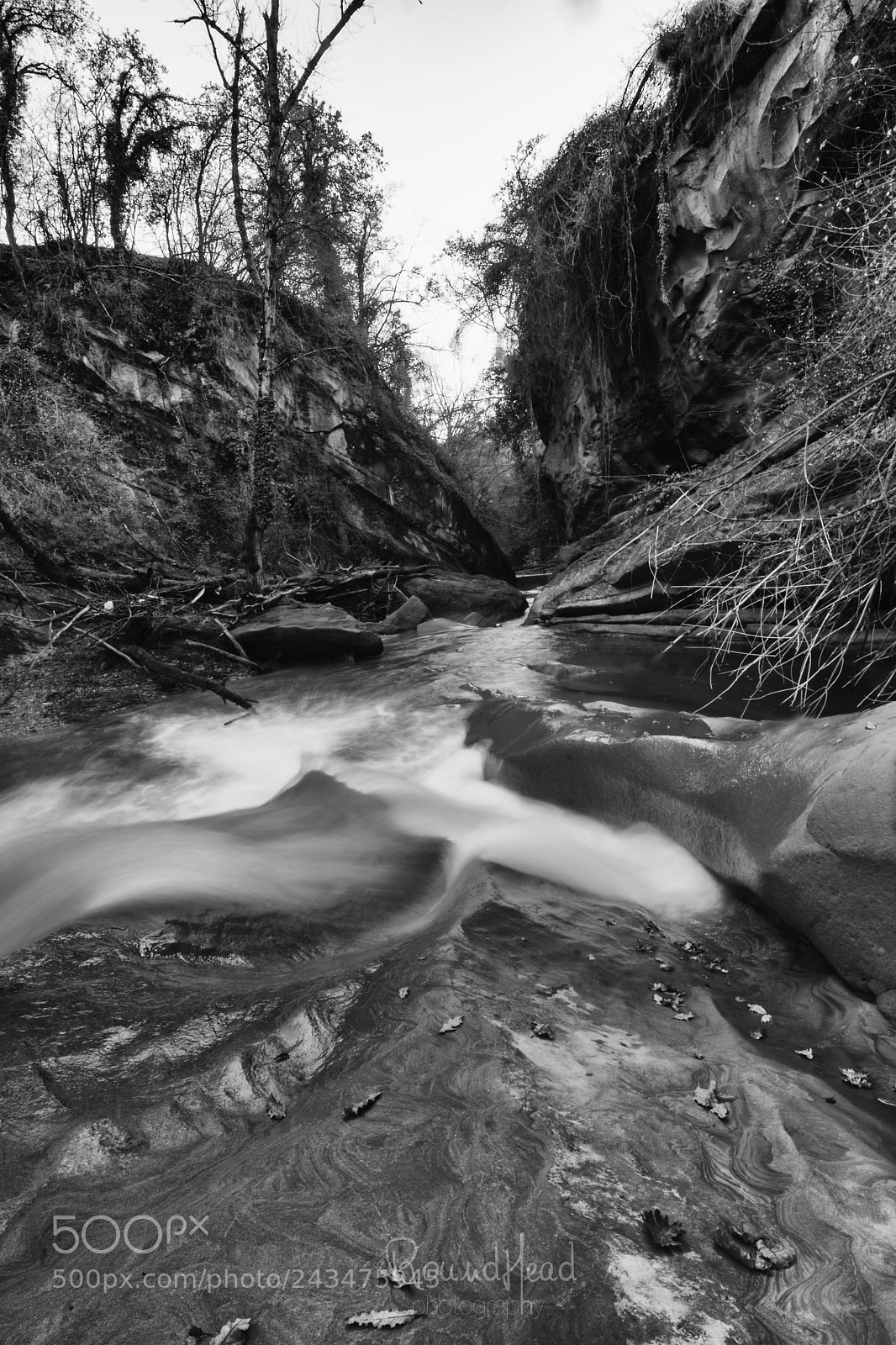 Nikon D7200 sample photo. Autumn in meschia photography