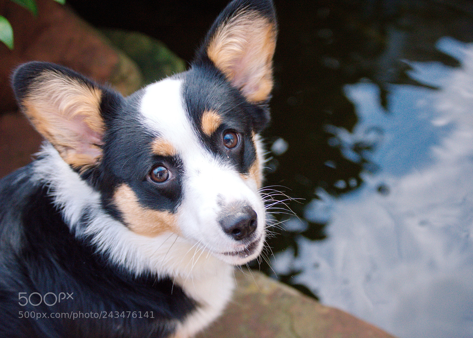 Nikon D3200 sample photo. Where are the fishes? photography