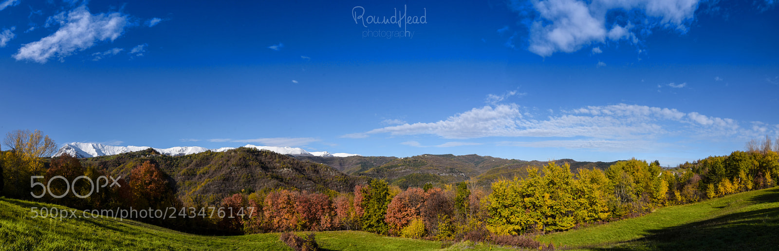 Nikon D7200 sample photo. Autumn in meschia photography