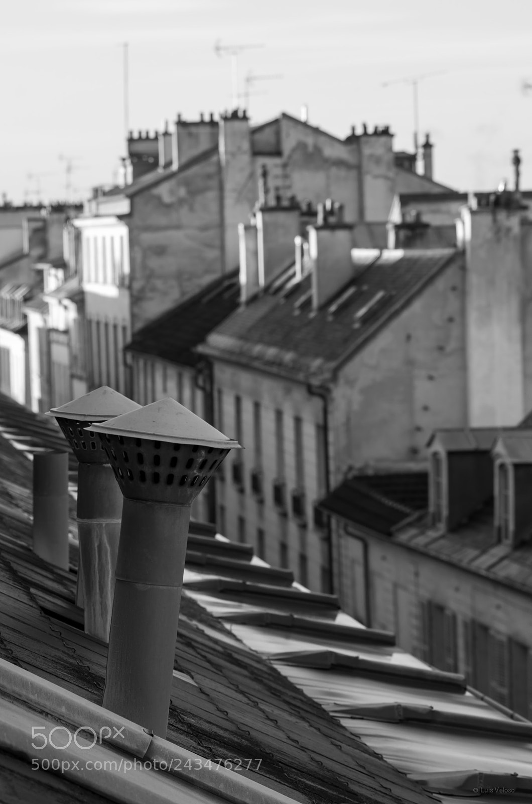 Pentax K-30 sample photo. Versailles roofs 2 photography