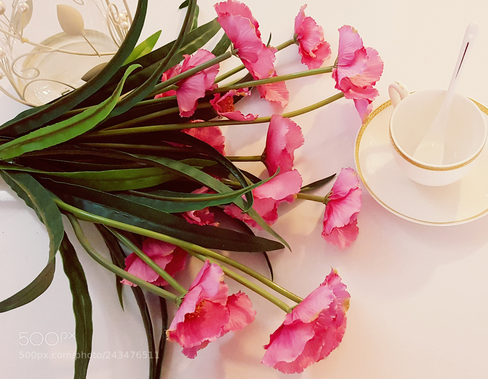 Samsung Galaxy Note5 sample photo. Pink photography