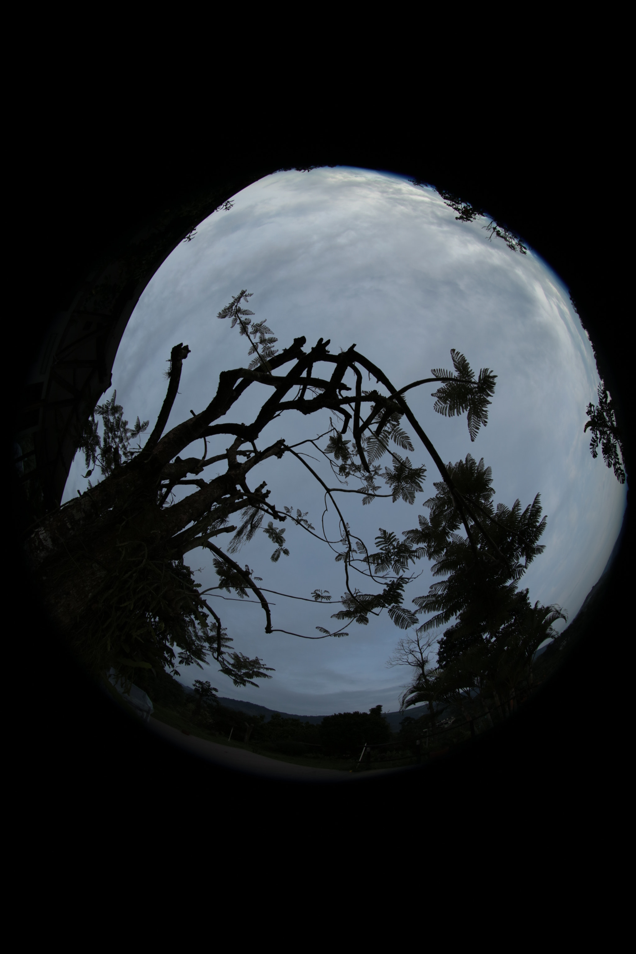 Canon EF 8-15mm F4L Fisheye USM sample photo. The gray hour. photography