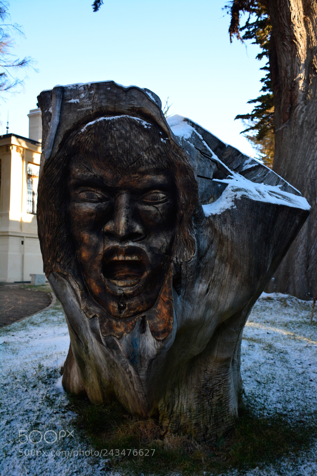 Nikon D7100 sample photo. Carved face photography