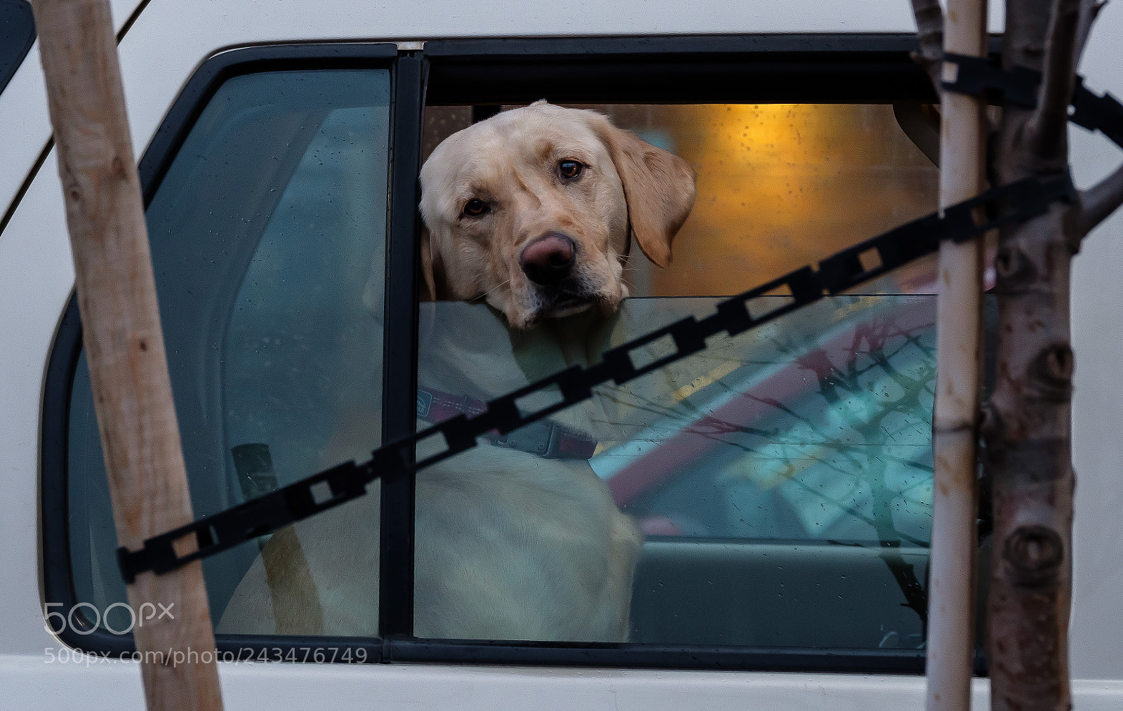 Fujifilm X-T2 sample photo. Have you seen my photography