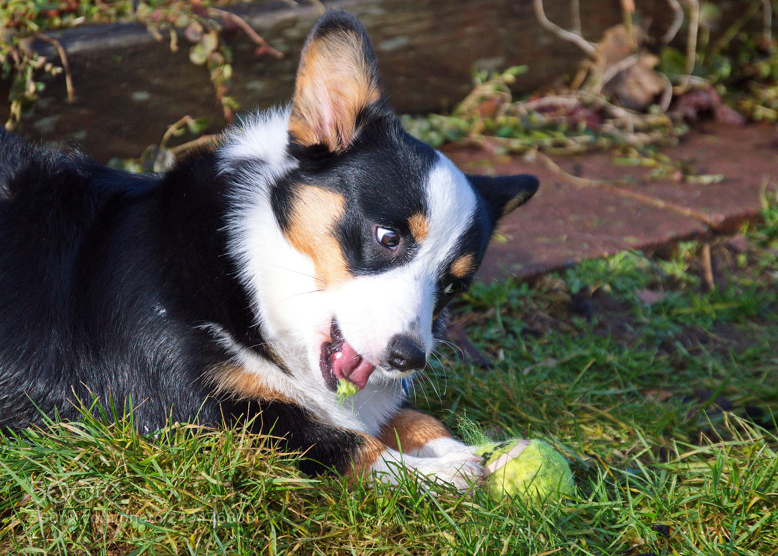 Nikon D3200 sample photo. Oh, you! photography