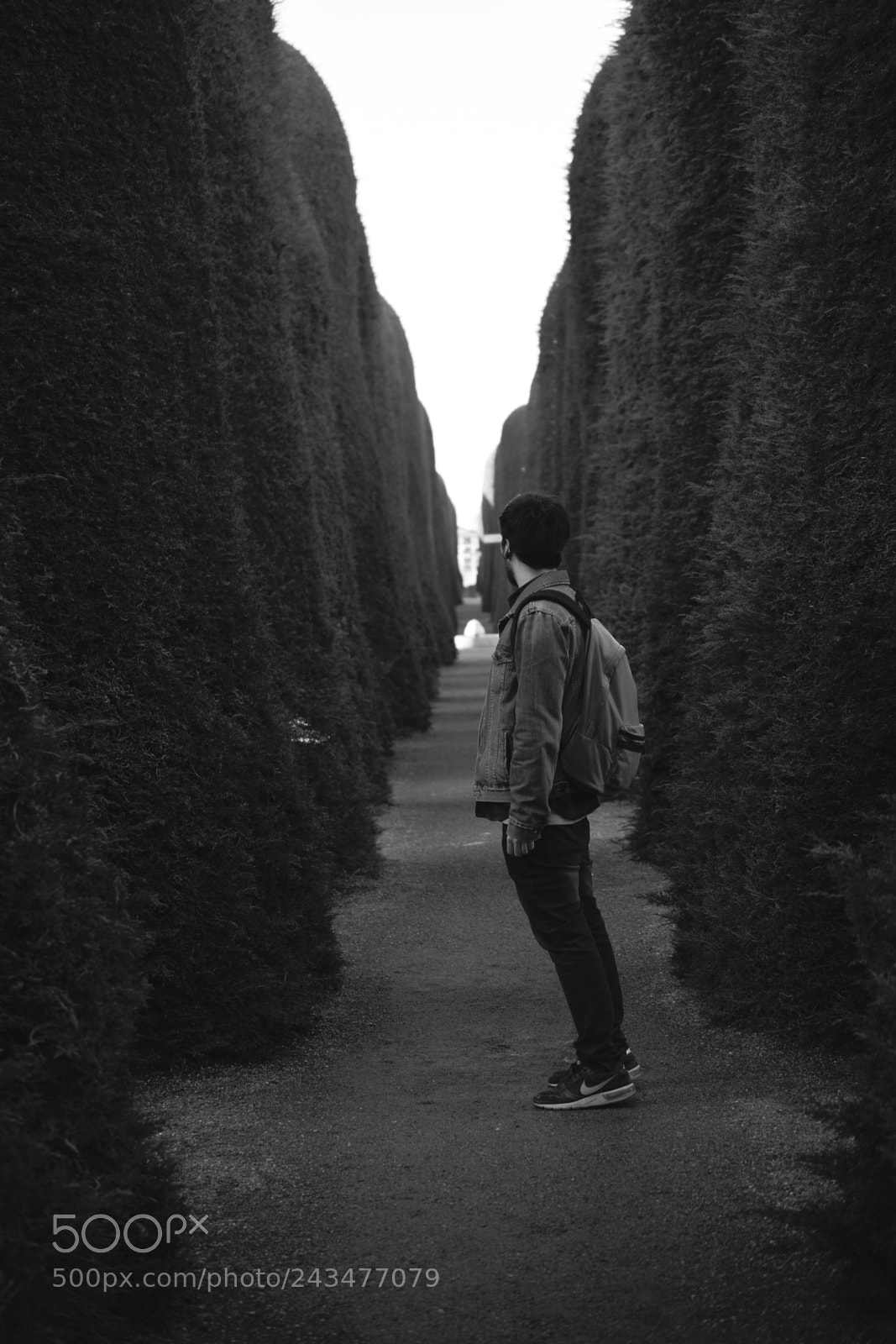 Nikon D7100 sample photo. Cementery's path photography