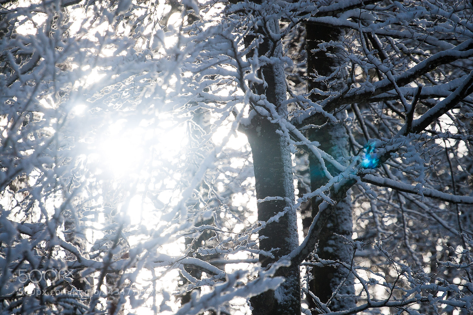 Canon EOS 30D sample photo. Sun photography