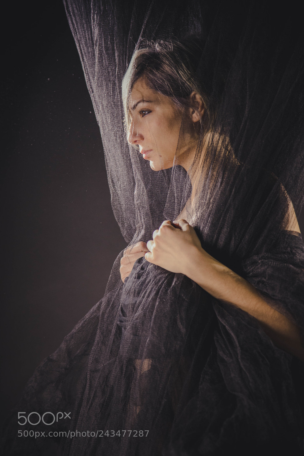 Canon EOS 6D Mark II sample photo. Veil photography
