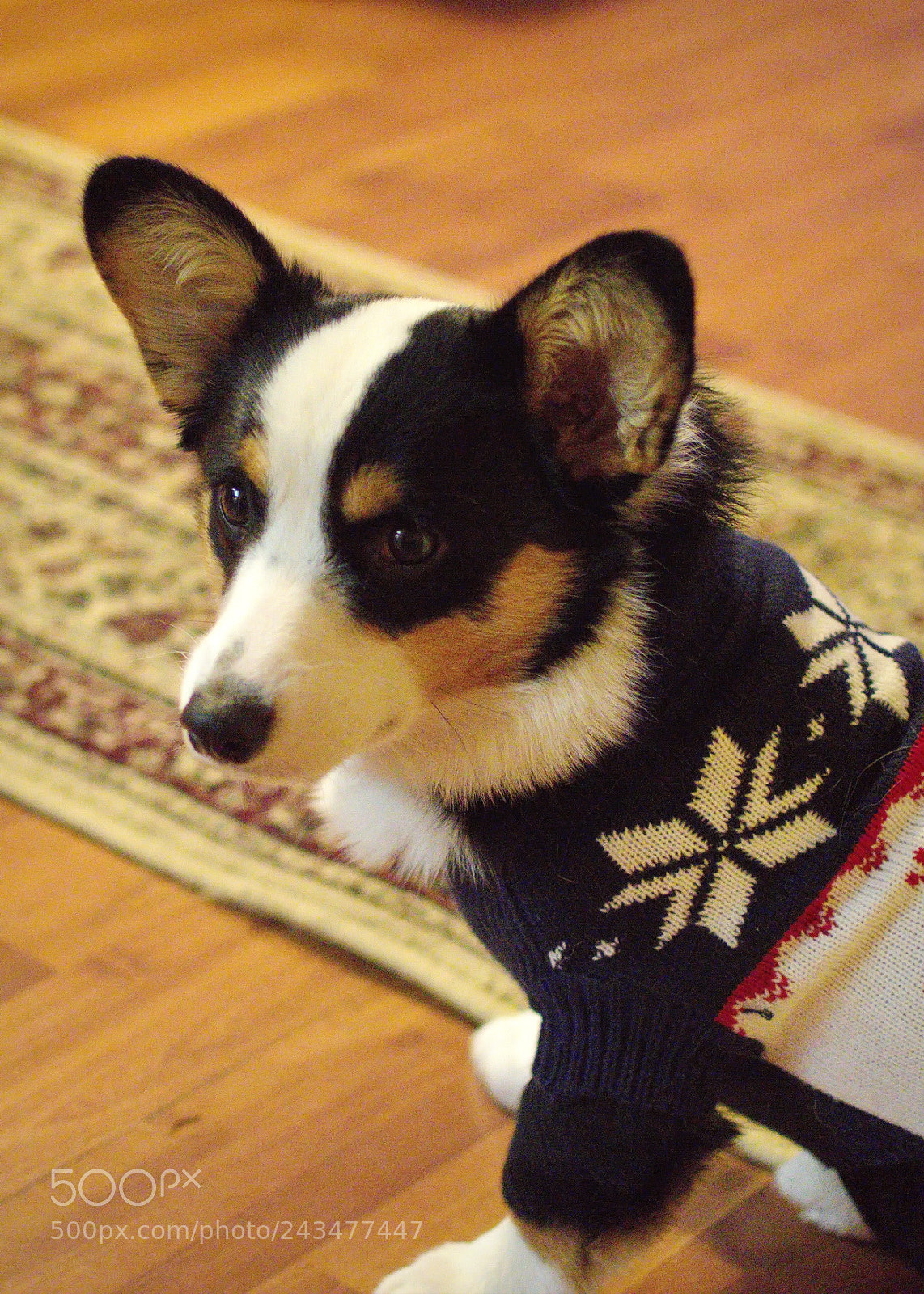 Nikon D3200 sample photo. Cardigan in a cardigan photography