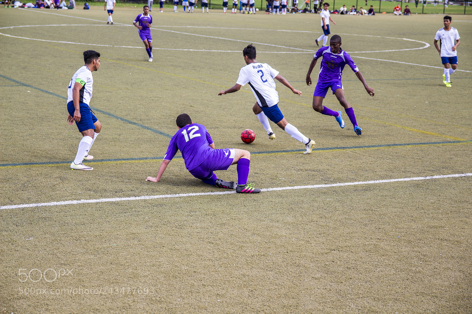 Canon EOS 700D (EOS Rebel T5i / EOS Kiss X7i) sample photo. Sike photography