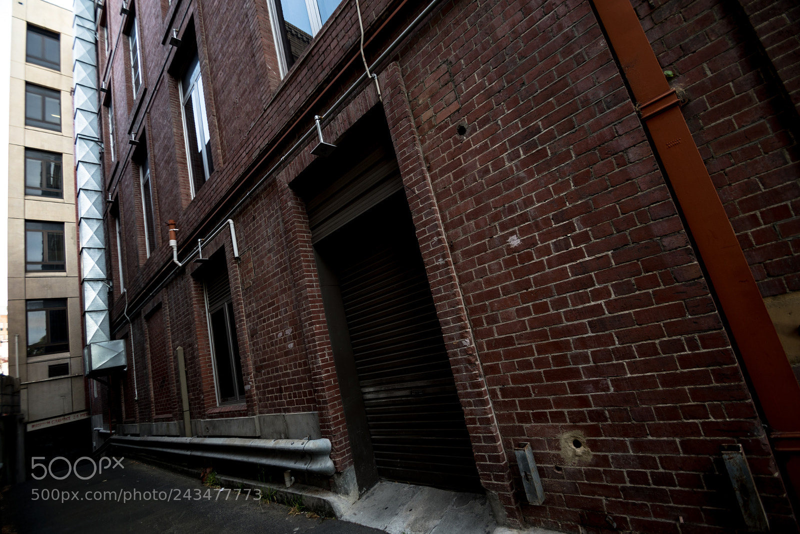 Nikon D500 sample photo. Hobart's faces photography