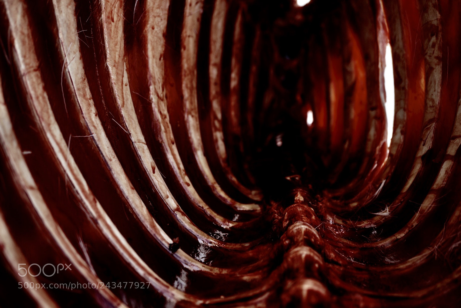 Sony Alpha NEX-6 sample photo. 52 weeks | week three | red photography