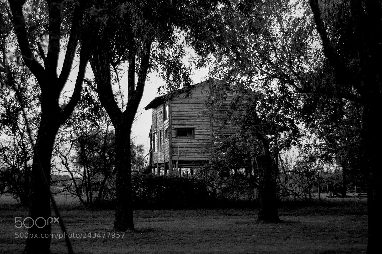 Nikon D3200 sample photo. Alone in the dark photography