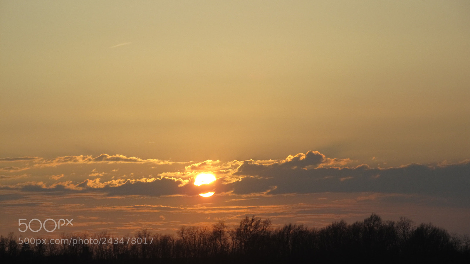 Canon PowerShot SX130 IS sample photo. Untitled photography