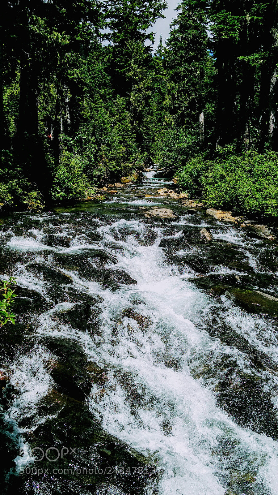 OnePlus 2 sample photo. Packwood stream photography