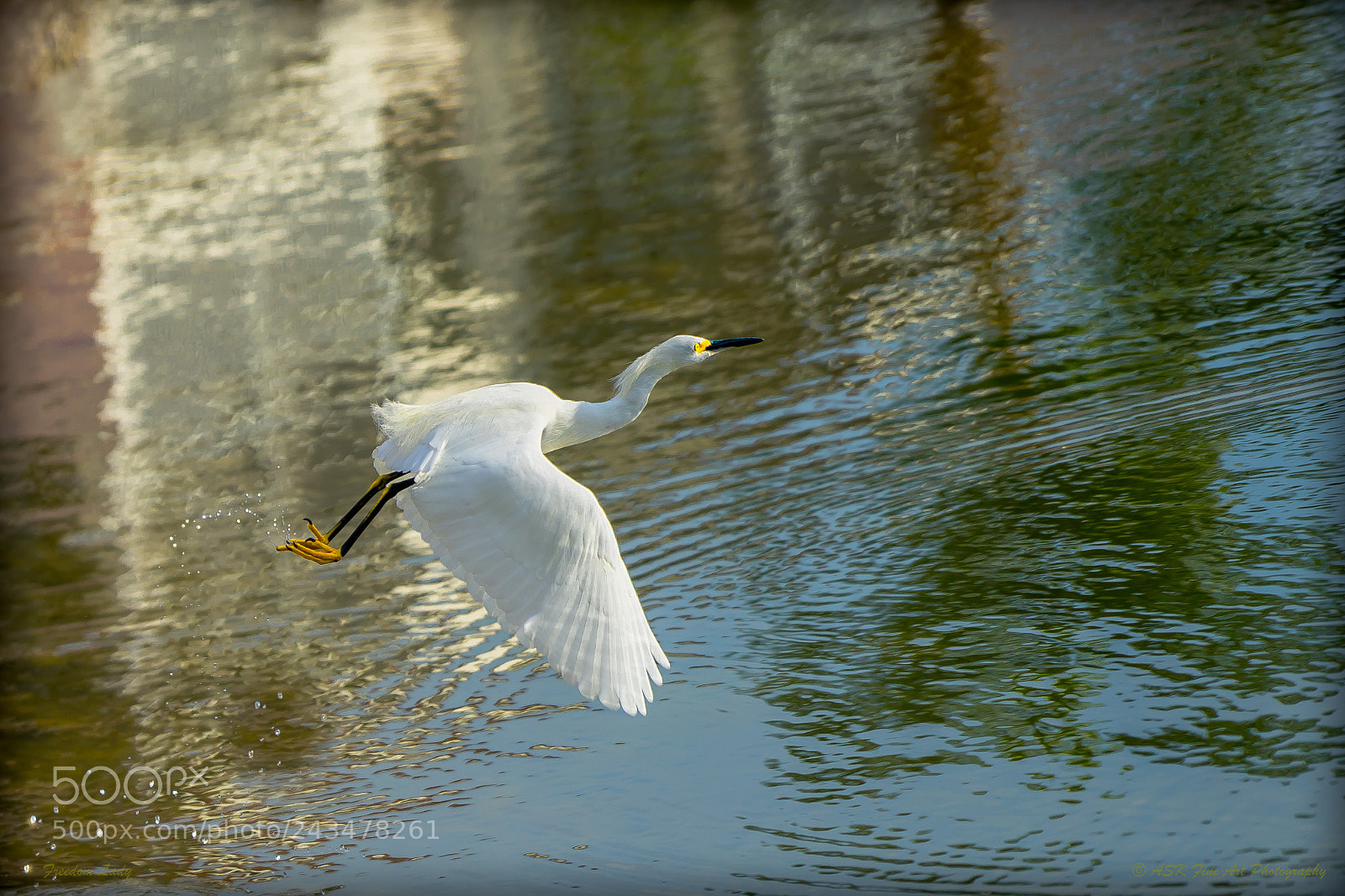 Sony a7 sample photo. Freedom lady photography