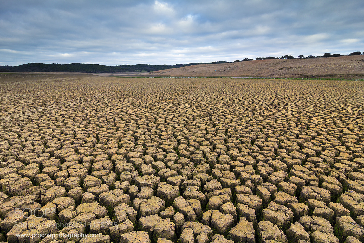 Canon EOS 60D sample photo. Dry country photography