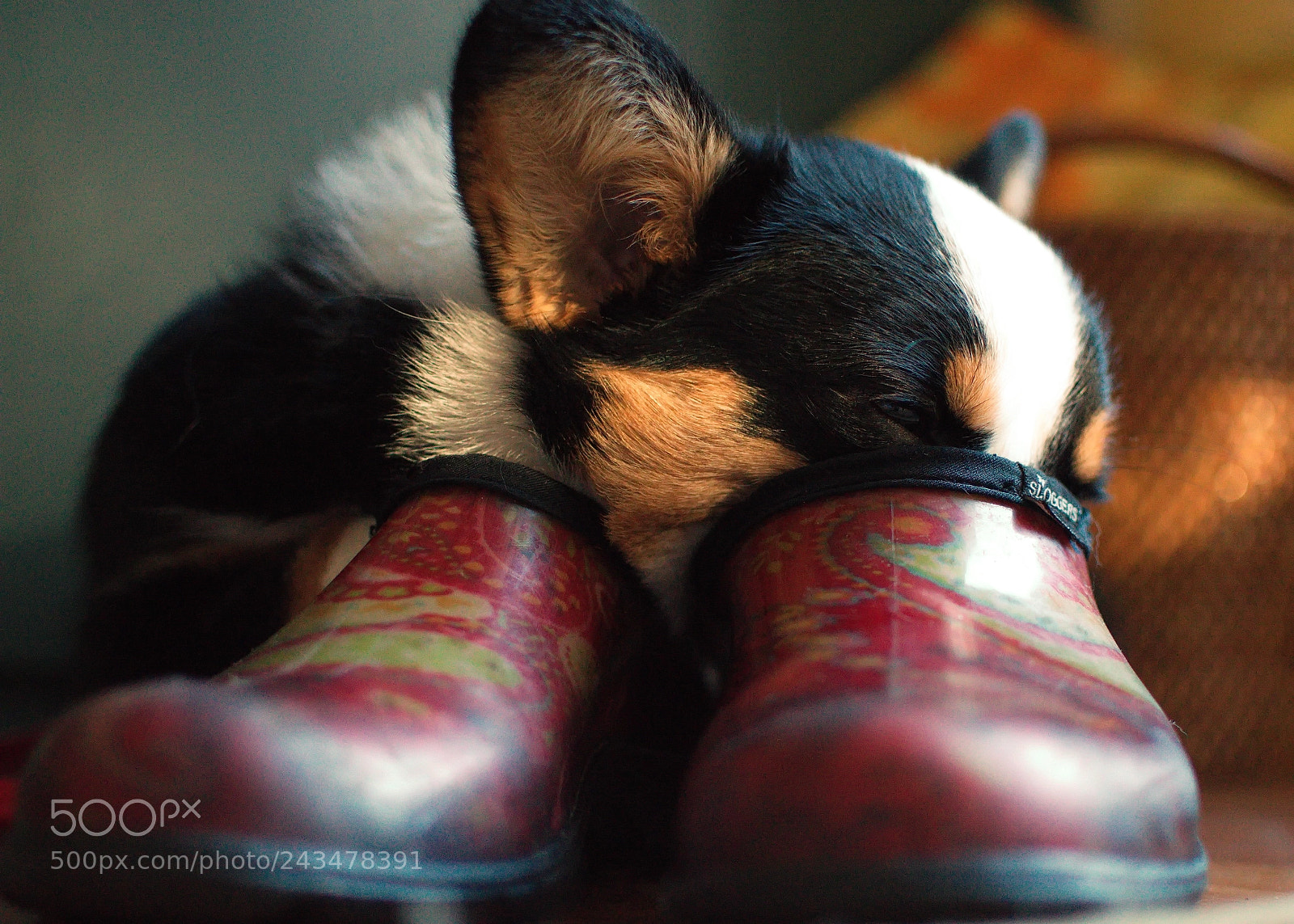 Nikon D3200 sample photo. Missing you photography