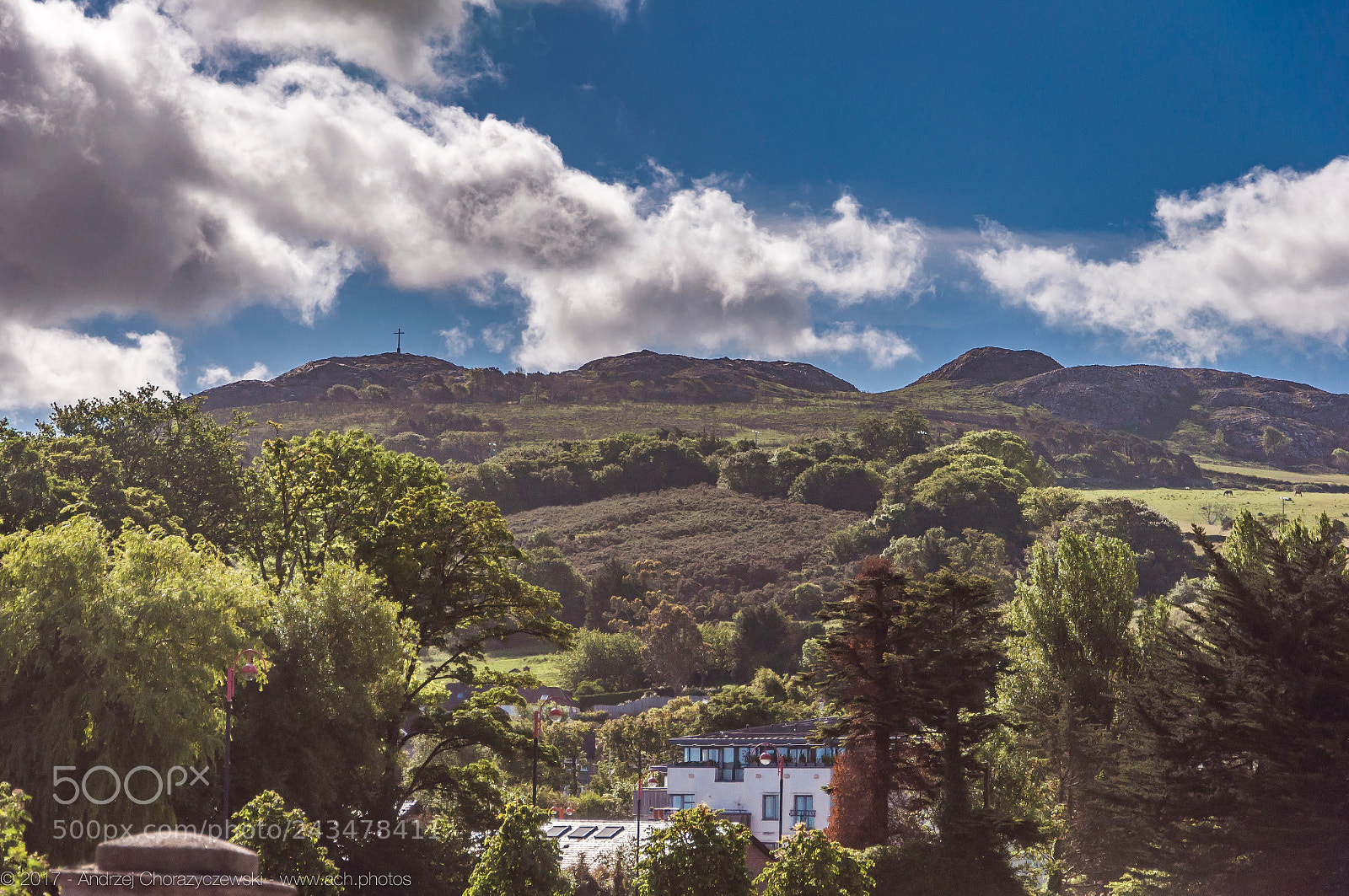 Nikon D90 sample photo. 2017 bray head, vintage photography