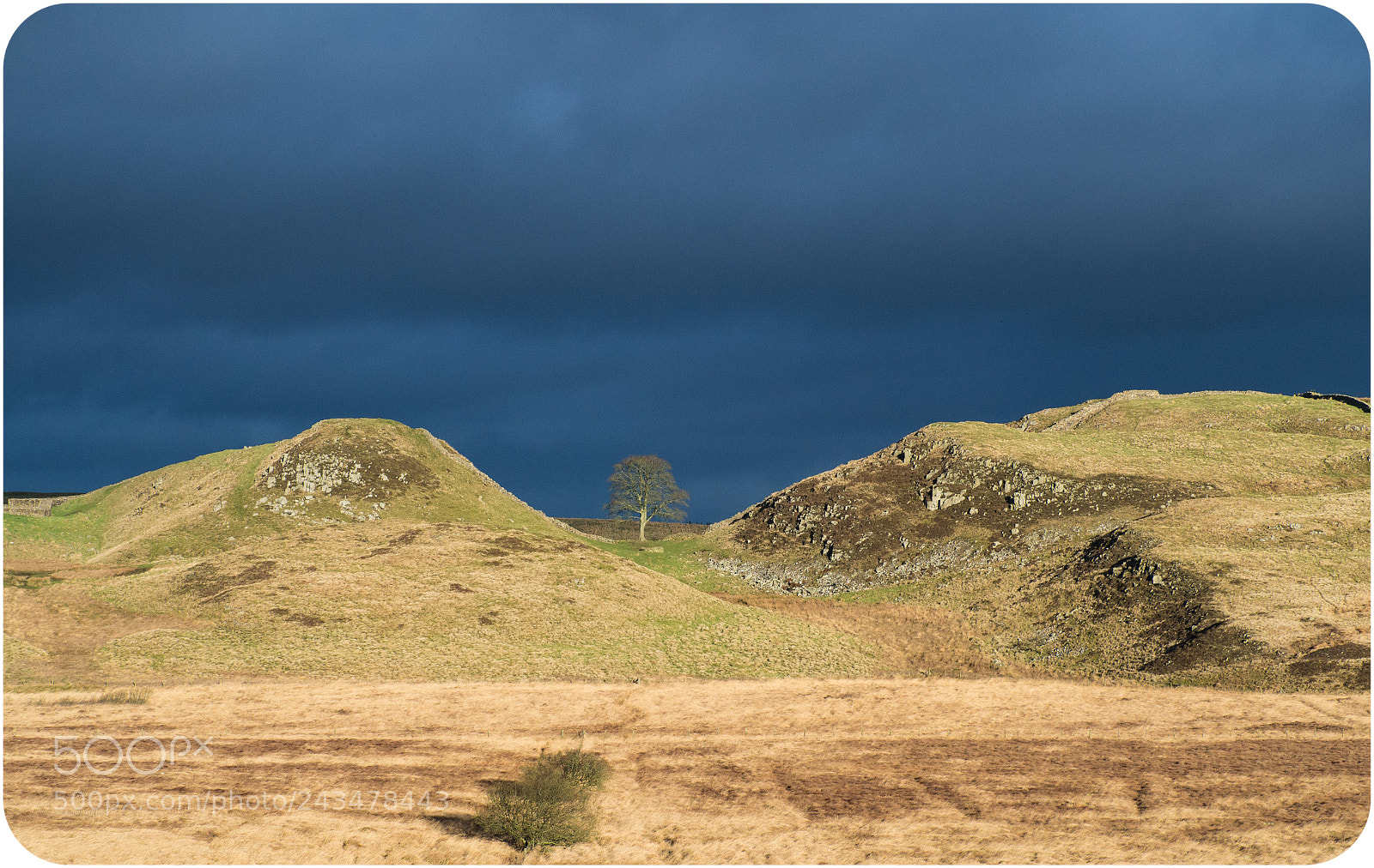 Olympus OM-D E-M10 II sample photo. Sycamore gap, new years photography