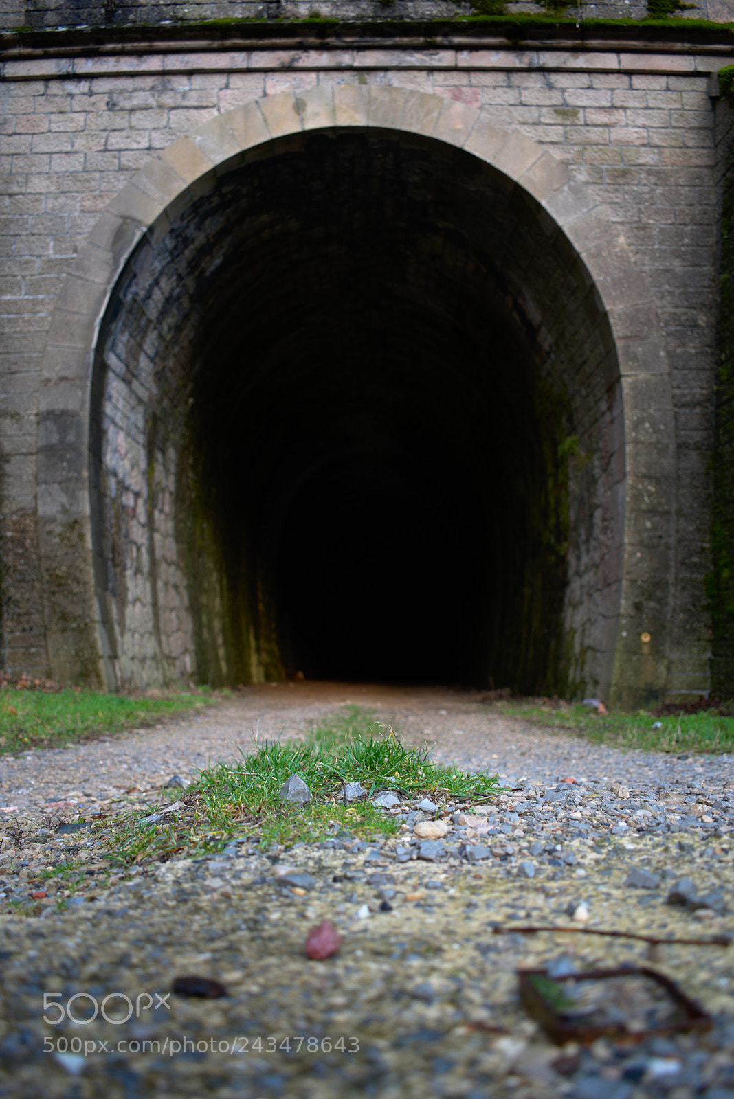 Nikon D5600 sample photo. Le tunnel sombre photography