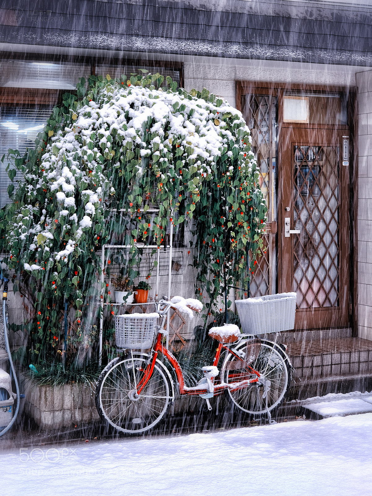 Fujifilm X-Pro2 sample photo. Tokyo snowing photography