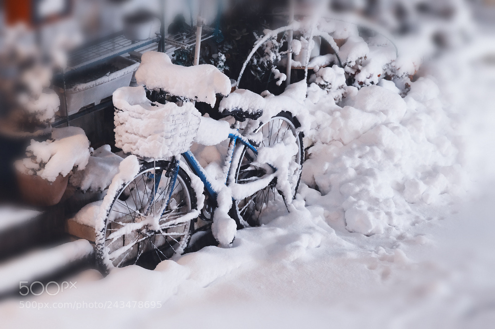 Fujifilm X-Pro2 sample photo. Tokyo snowing photography