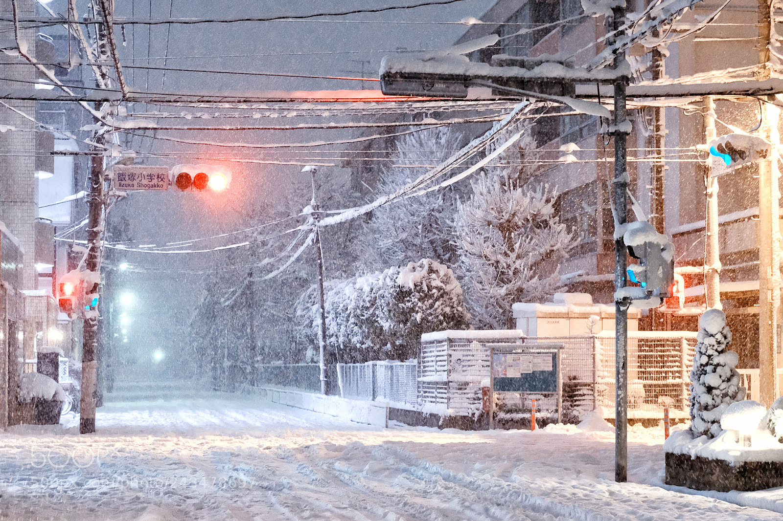 Fujifilm X-Pro2 sample photo. Tokyo snowing photography