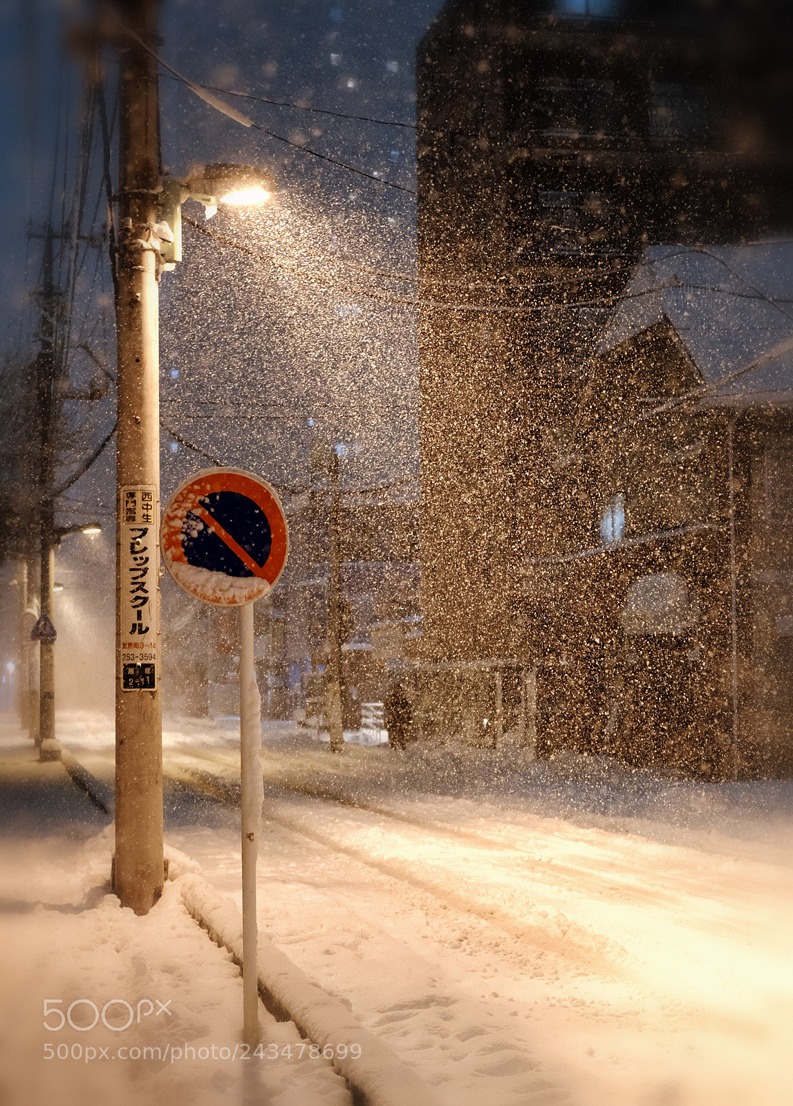 Fujifilm X-Pro2 sample photo. Tokyo snowing photography