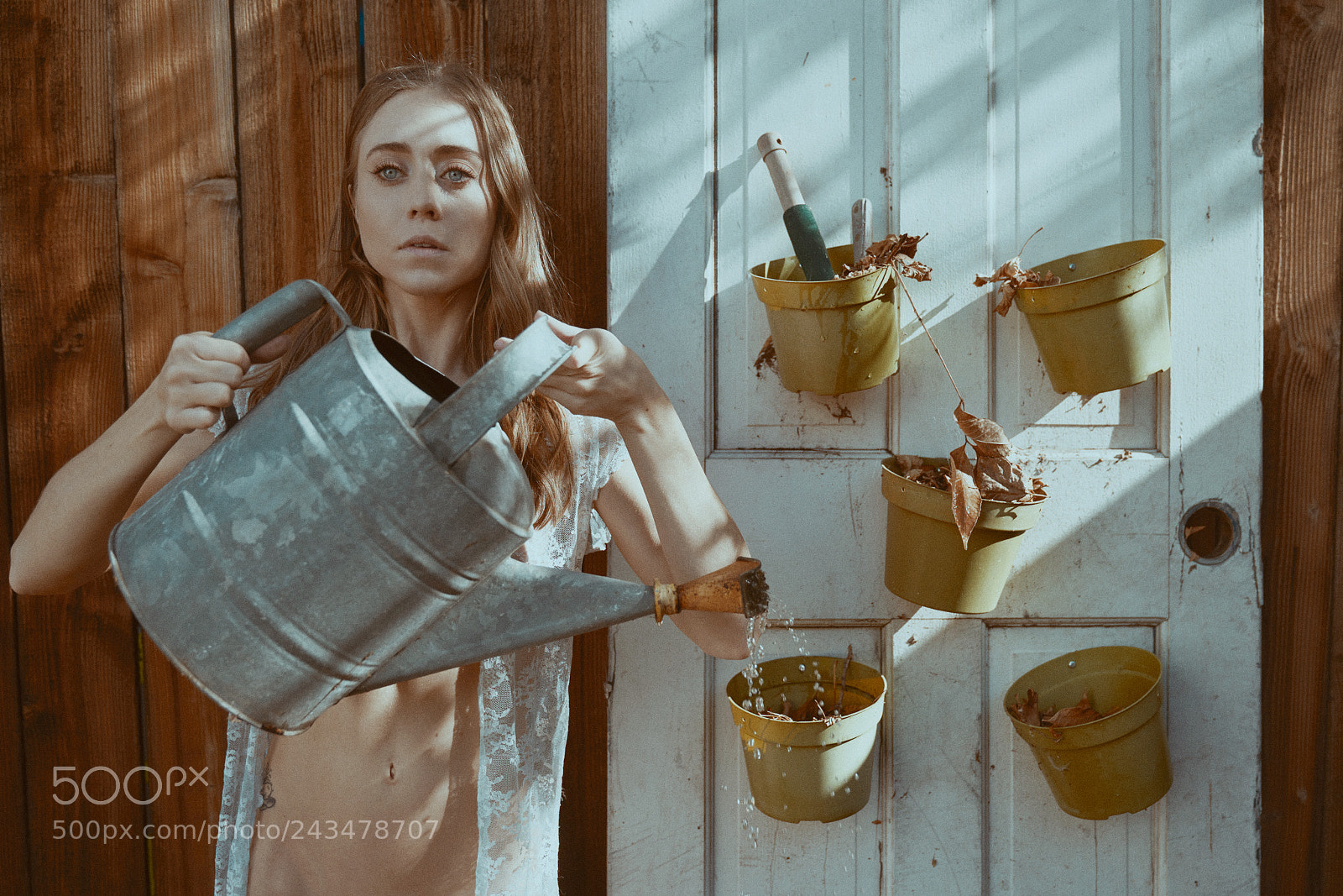 Sony a7R II sample photo. The landscape changes ... photography