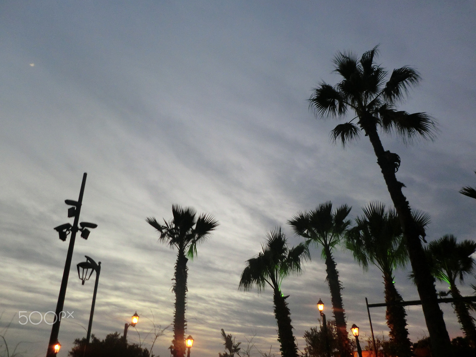 CASIO EX-S200 sample photo. Cimg photography