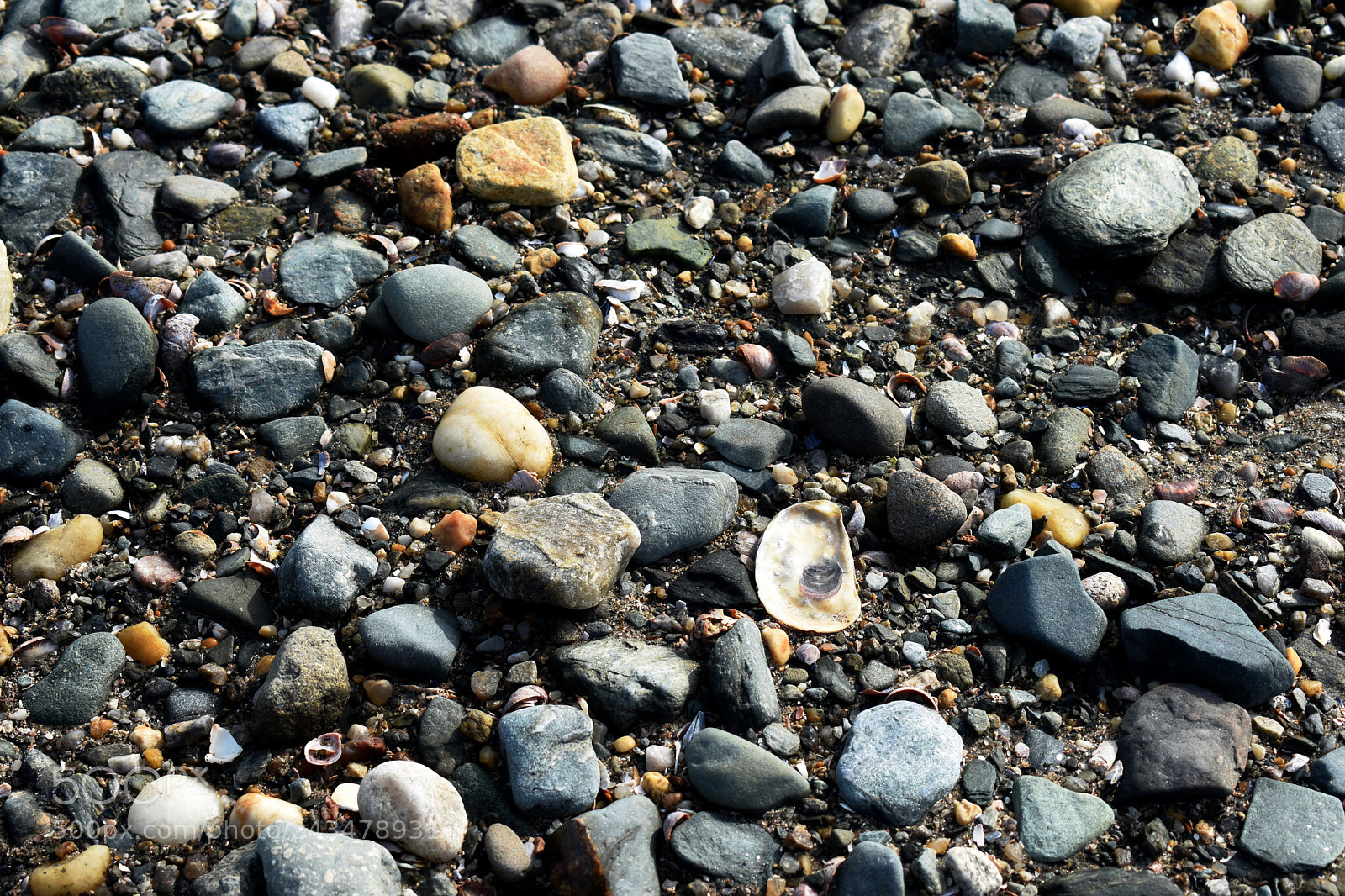 Nikon D3400 sample photo. Dsc photography