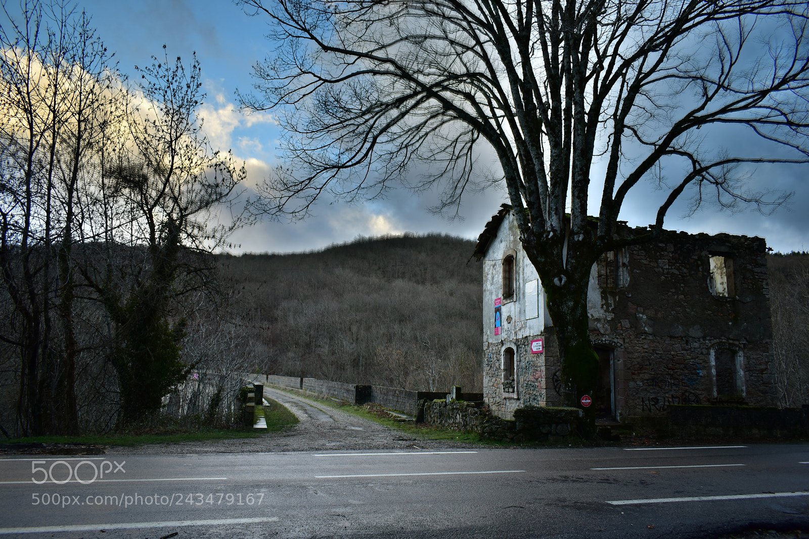 Nikon D5600 sample photo. Pont d'alzon photography