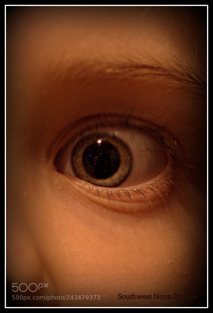 Canon EOS-1Ds Mark II sample photo. Thru the keyhole photography