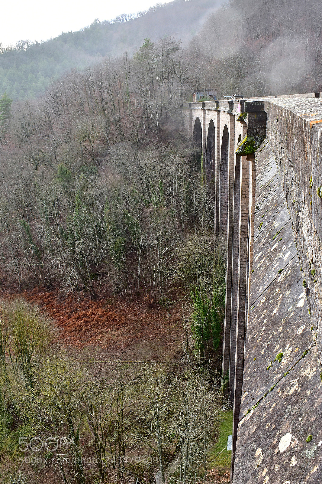 Nikon D5600 sample photo. Pont d'alzon photography