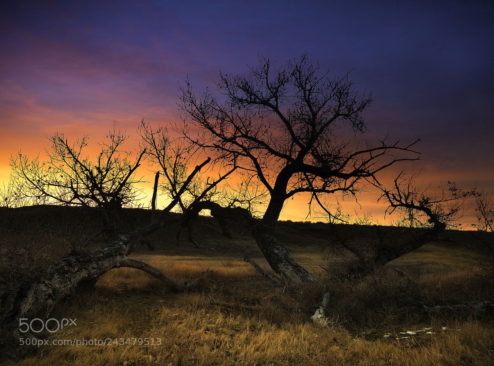 Nikon D810 sample photo. Sunrise photography