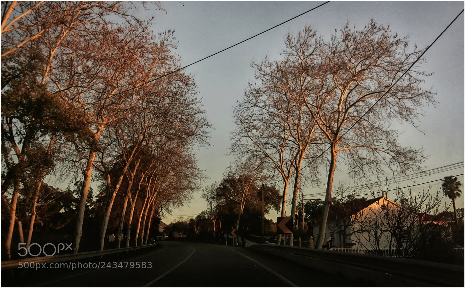 Canon EOS 1000D (EOS Digital Rebel XS / EOS Kiss F) sample photo. Sunset on the road photography