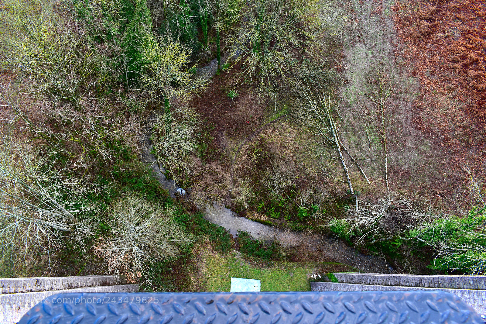 Nikon D5600 sample photo. Sur le pont photography