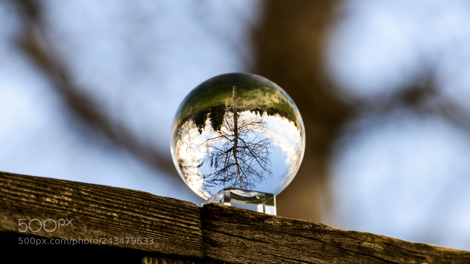 Nikon D800 sample photo. Oh inverted world photography