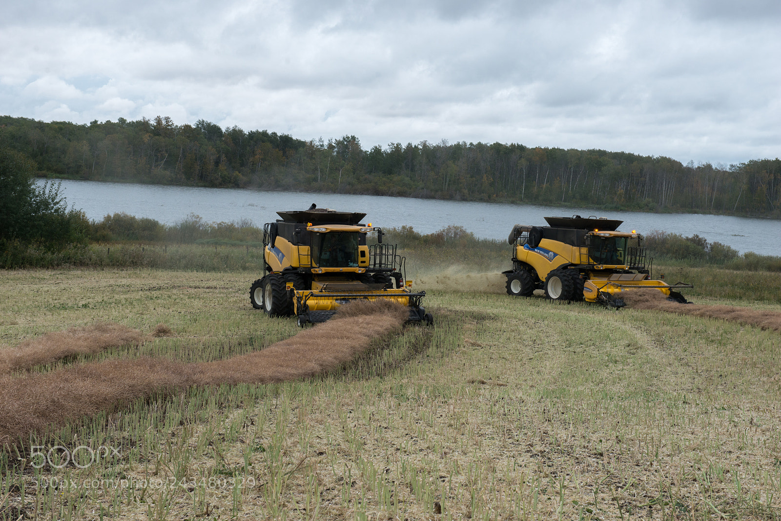 Nikon D800 sample photo. Farm photography