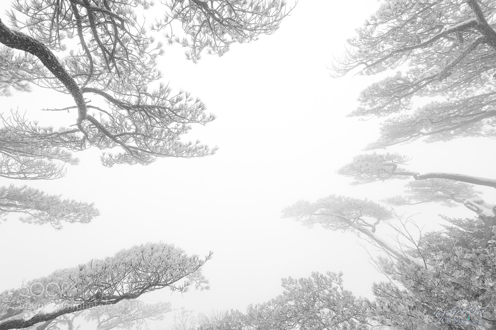 Sony a7R II sample photo. 雪凇 snow yuki ii 黃山-huangshan-china photography