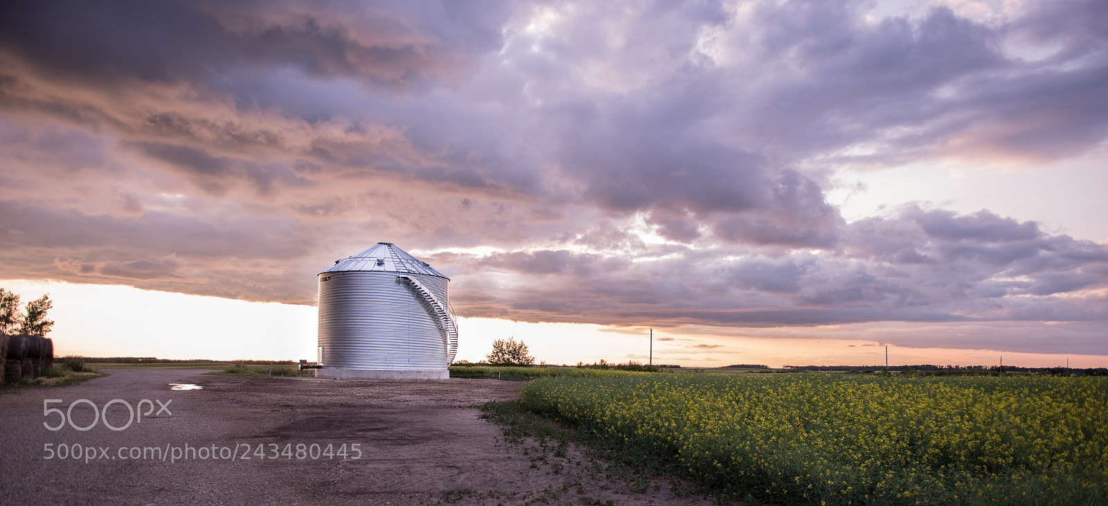 Nikon D800 sample photo. Farm photography