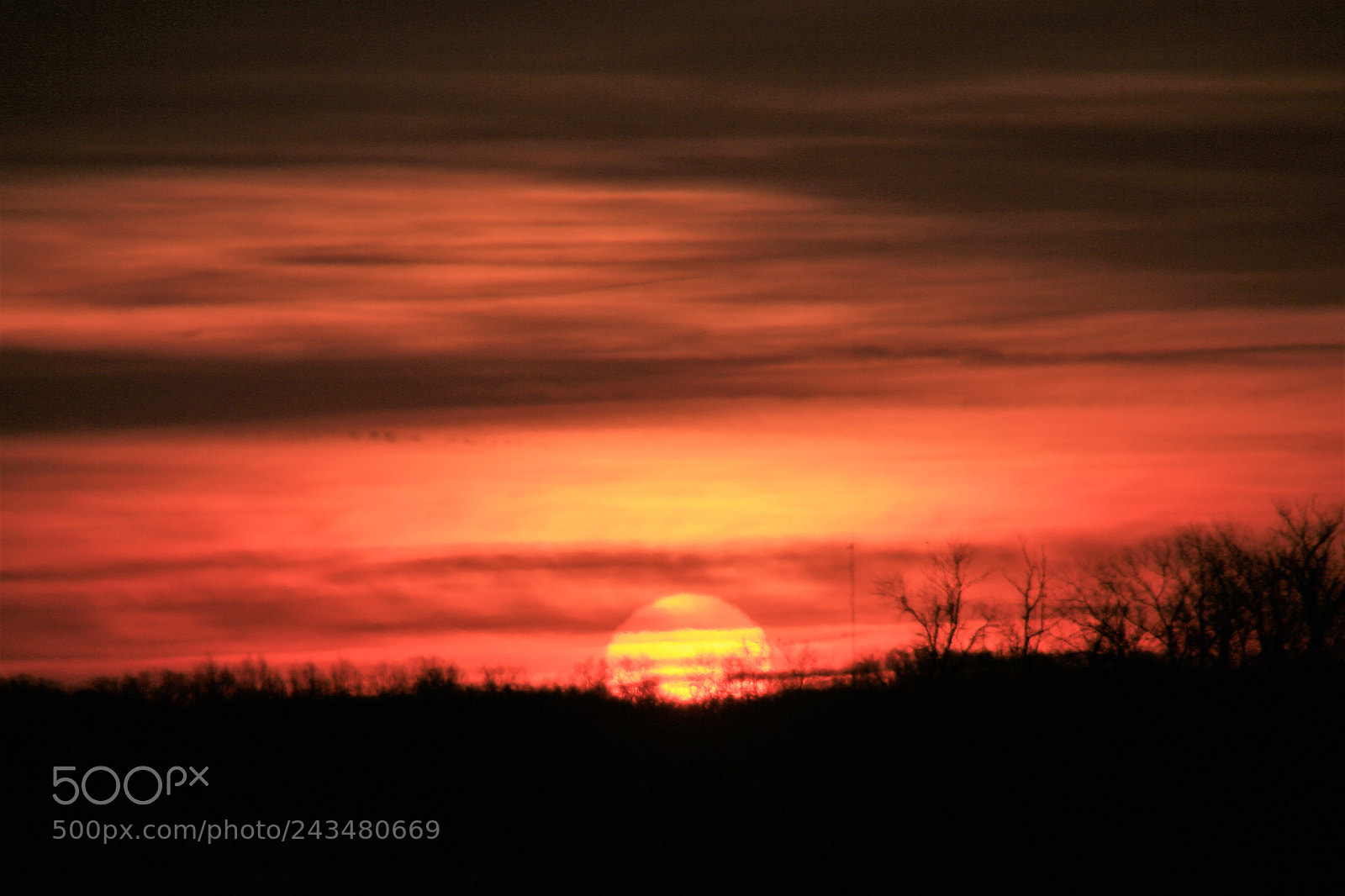Canon EOS 700D (EOS Rebel T5i / EOS Kiss X7i) sample photo. (winter sunrise photography