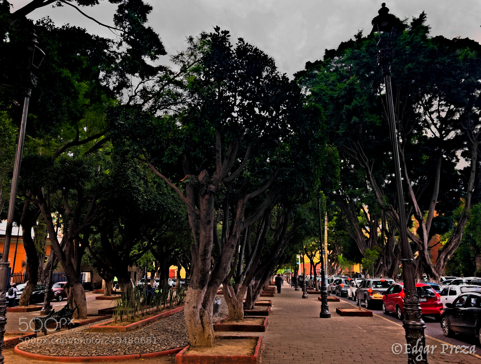 Apple iPhone 7 Plus sample photo. Jardin de embajadoras (de ) photography