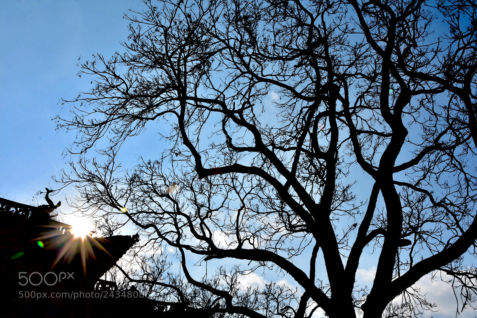 Nikon D7200 sample photo. Early morning photography