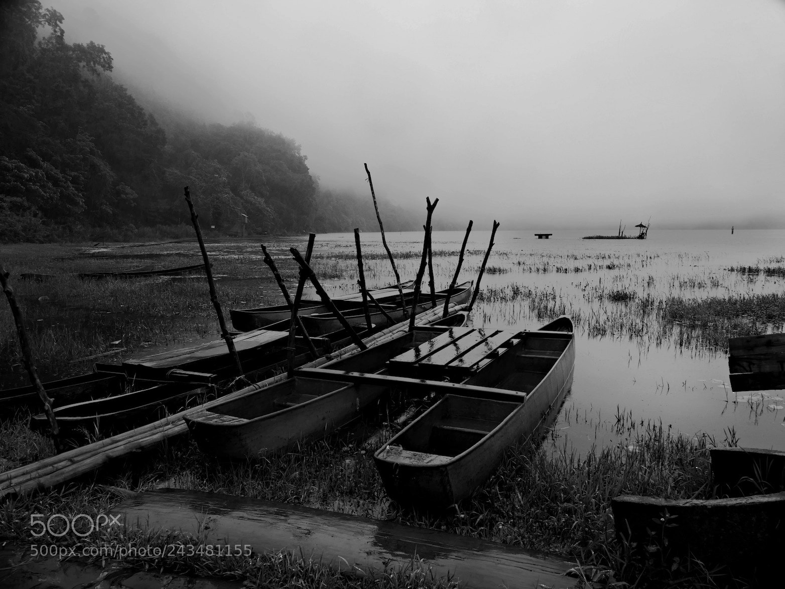 Panasonic Lumix DMC-GH4 sample photo. Misty lake 3 photography