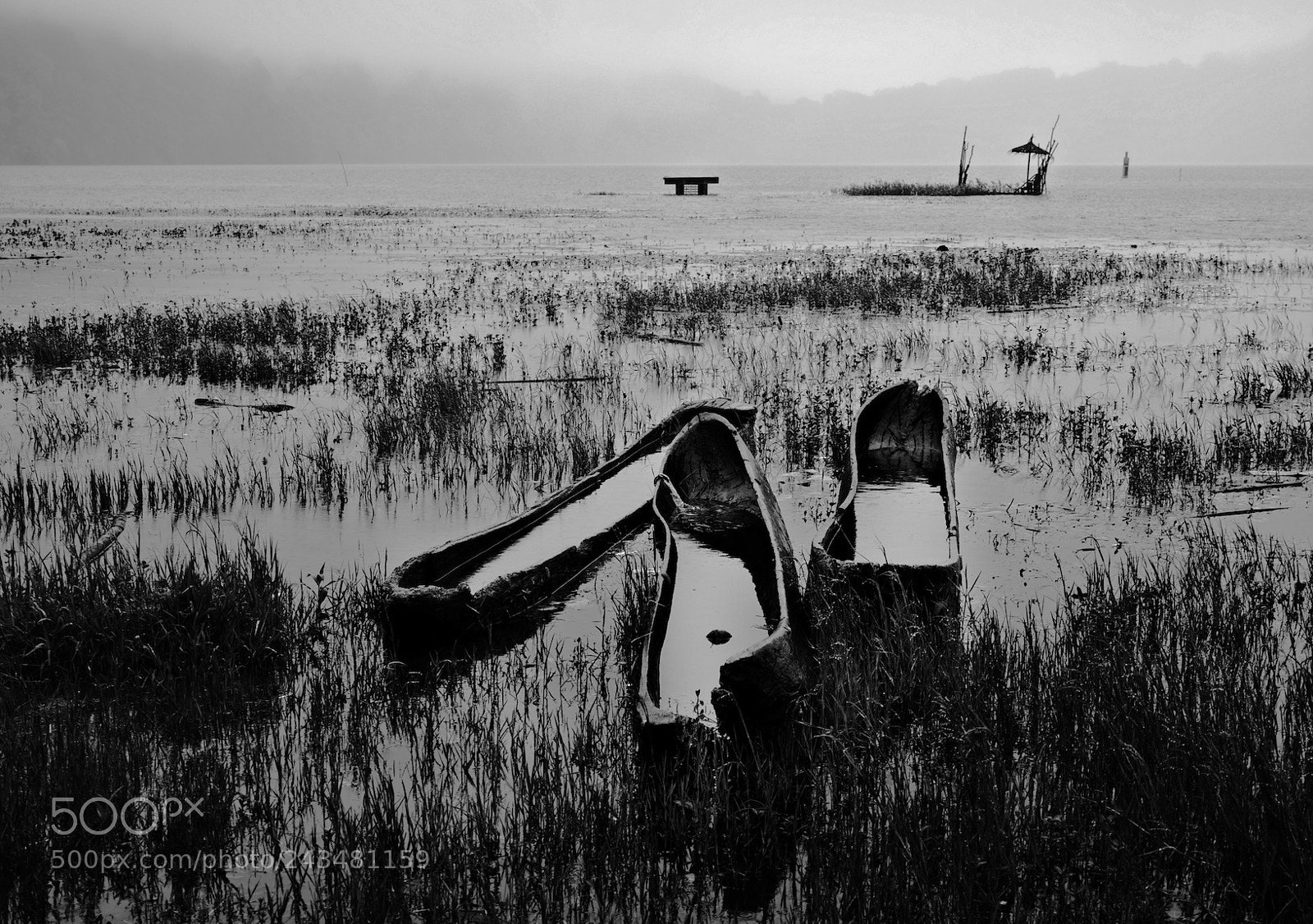 Panasonic Lumix DMC-GH4 sample photo. Misty lake 5 photography