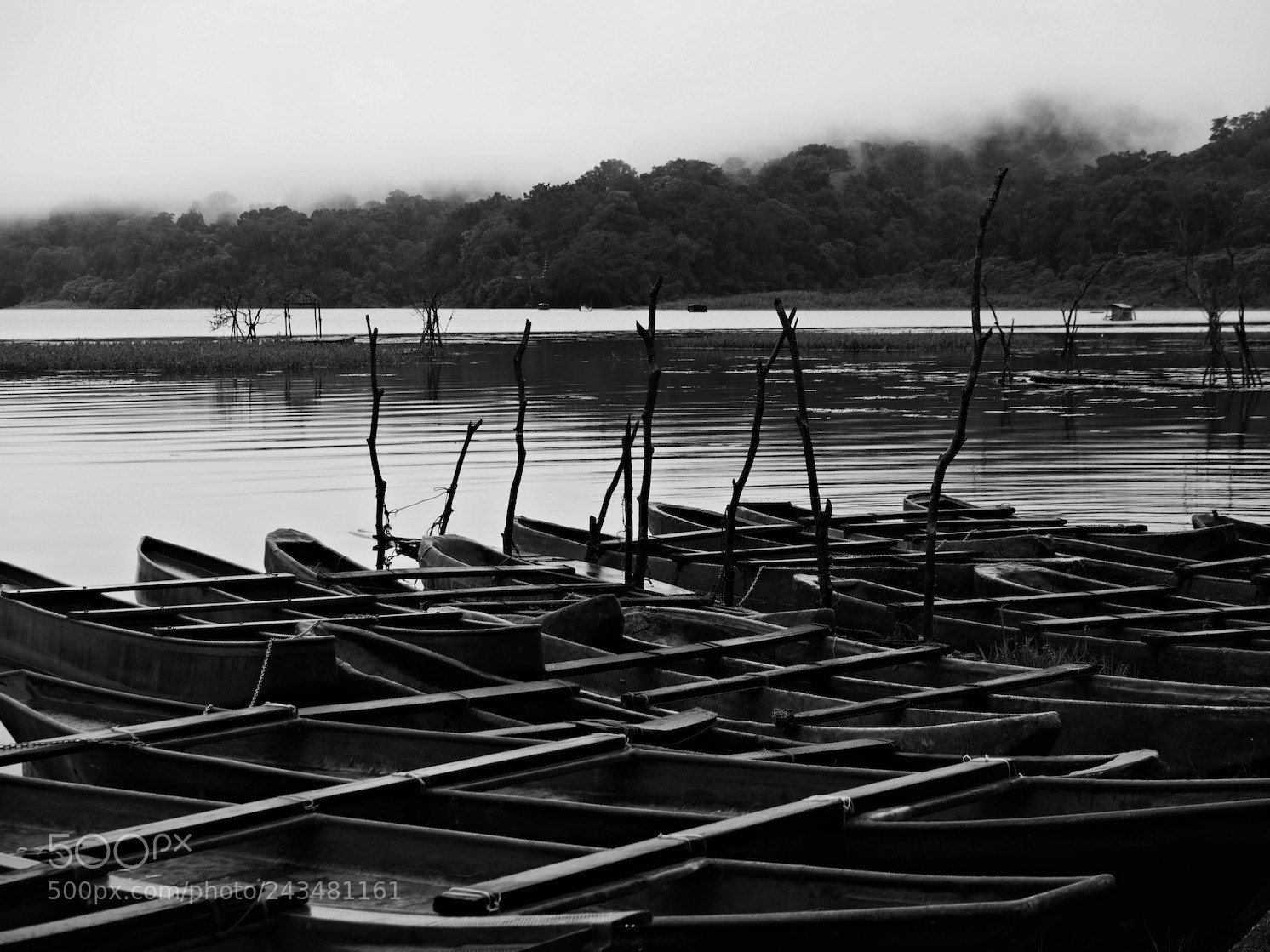 Panasonic Lumix DMC-GH4 sample photo. Misty lake 7 photography